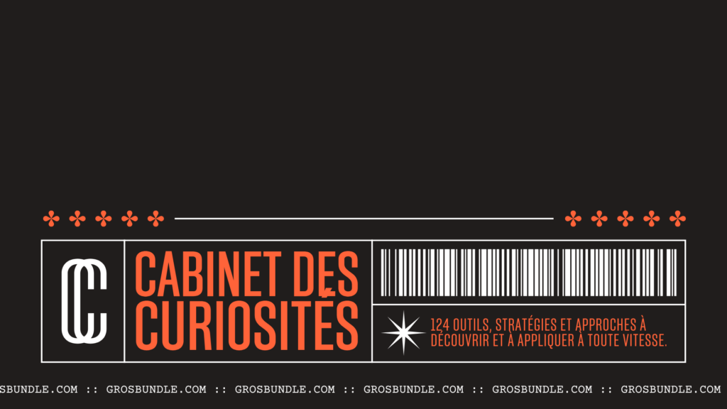 Cabinet des curiosités 2025