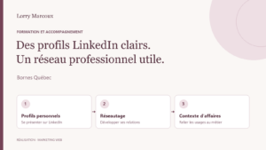 Formation LinkedIn Bornes Québec : profils personnels et réseautage professionnel