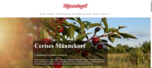 Page d’accueil du site Web Männekorf Cerise réalisé par Lorry Marcoux